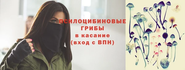 дживик Володарск