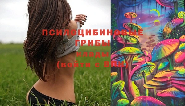 МДПВ Верхний Тагил